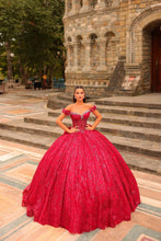 Load image into Gallery viewer, 54237
